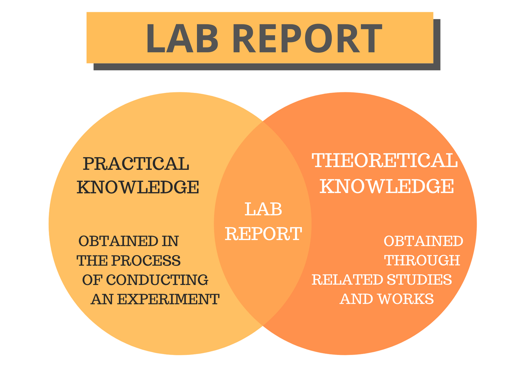  Making A Lab Report How To Write A Science Lab Report with Pictures 