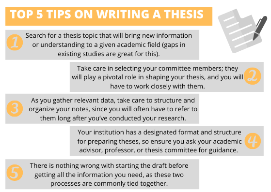 thesis writing for dummies